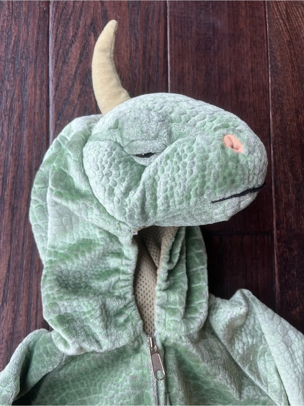 Halloween Costume Dragon